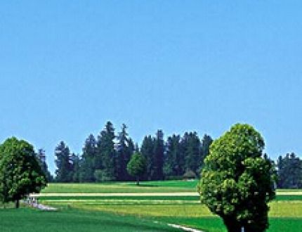 制冰机常见问题与解决方案